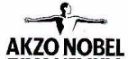 AKZO NOBEL - לוגו סימן מסחר