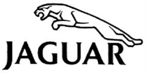 JAGUAR - לוגו סימן מסחר רשום