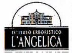 ISTITUTO ERBORISTICO L'ANGELICA - לוגו סימן מסחר