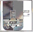 תנובה - לוגו סימן מסחר